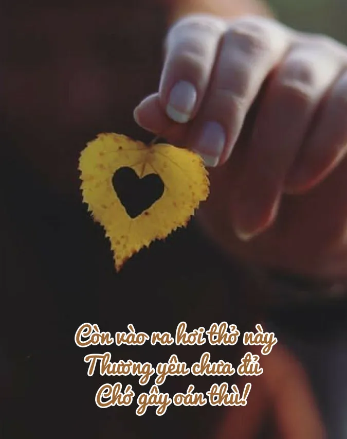 Tuyển chọn 37 bài thơ Phật giáo - lời dạy sâu sắc về nhân sinh