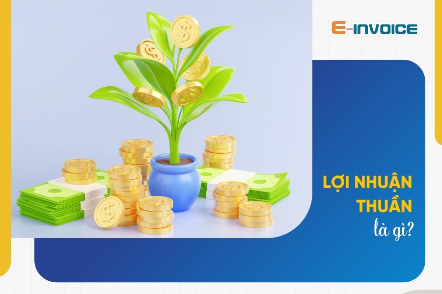 Khái niệm lợi nhuận thuần