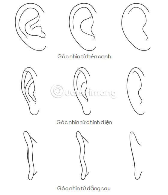 Các bước vẽ tai cho nhân vật Anime, Manga