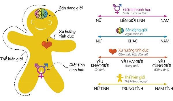 Lưỡng tính là một khái niệm khác với song tính