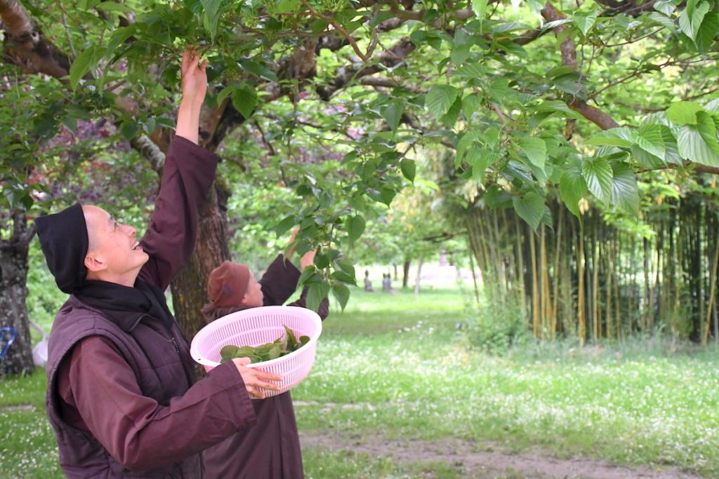 Hương vị mùa xuân