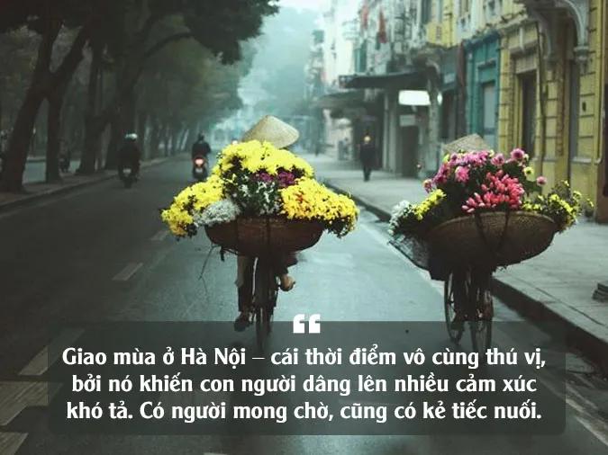 Stt về Hà Nội 1