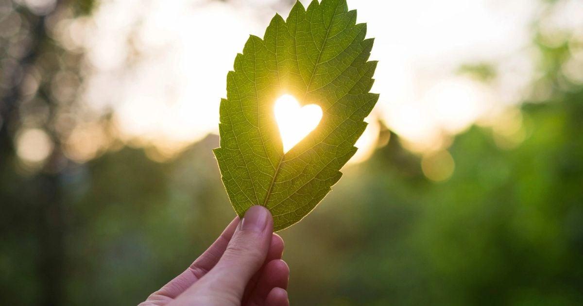 Chúng ta luôn luôn chạy theo hạnh phúc 1