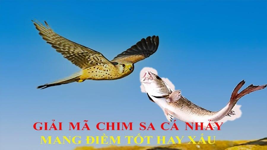 Chim sa tận nơi không bắt, cá nhảy tận bờ không ăn
