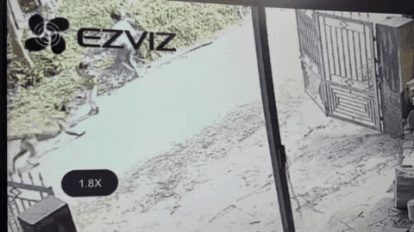 Vụ chó dữ tấn công bé trai 2 tuổi: Chó xổng chuồng khi chủ nhân đi vắng - 1