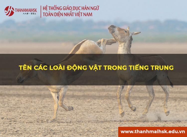 Tên các loại động vật trong tiếng Trung