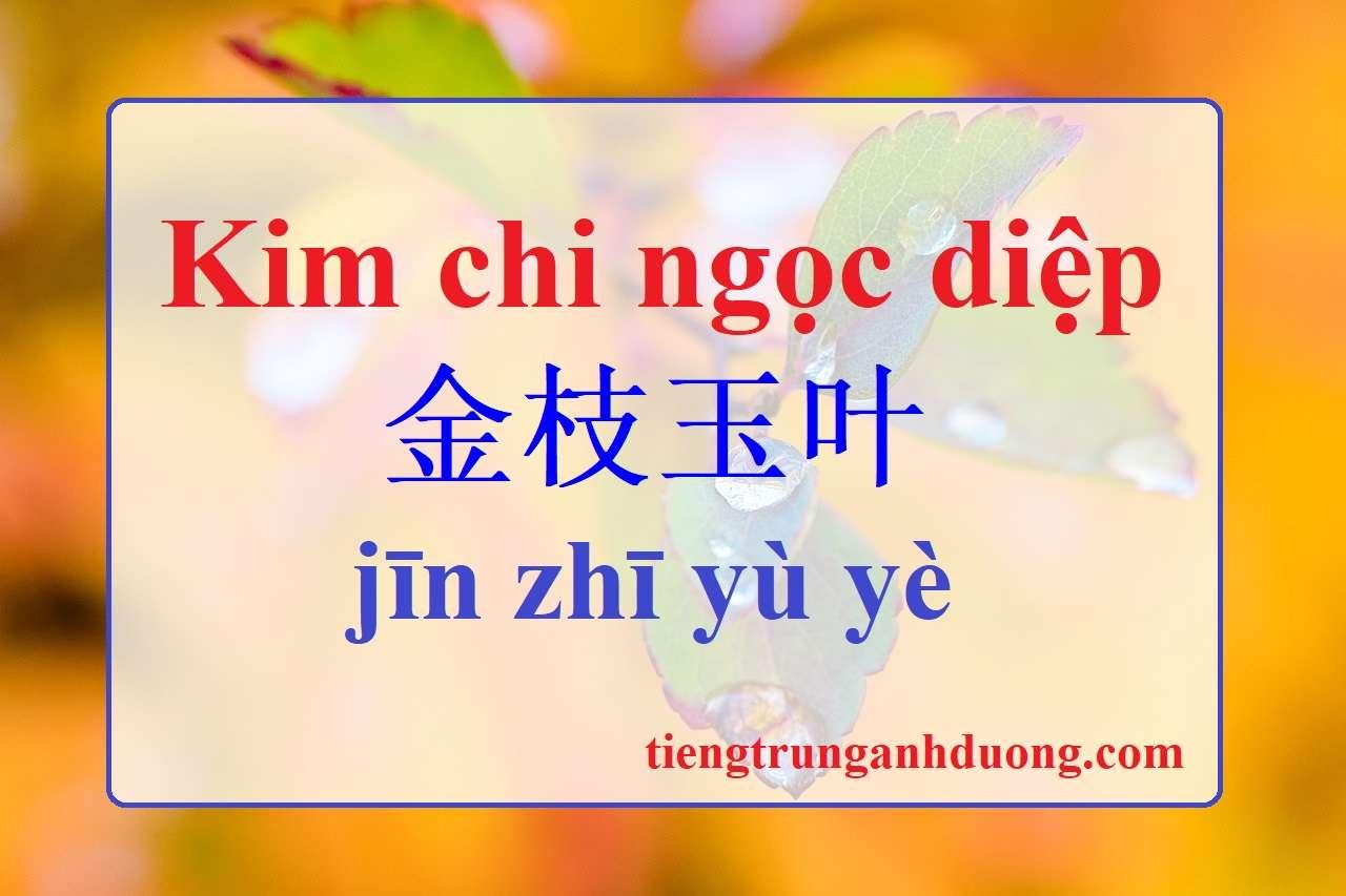 kim chi ngọc diệp