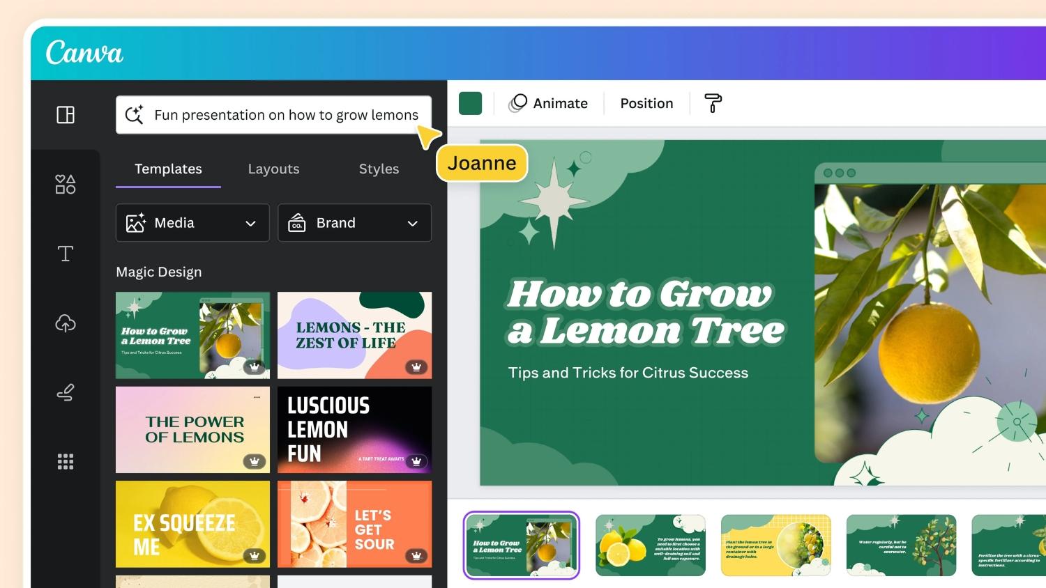 Mô tả ảnh ở đây