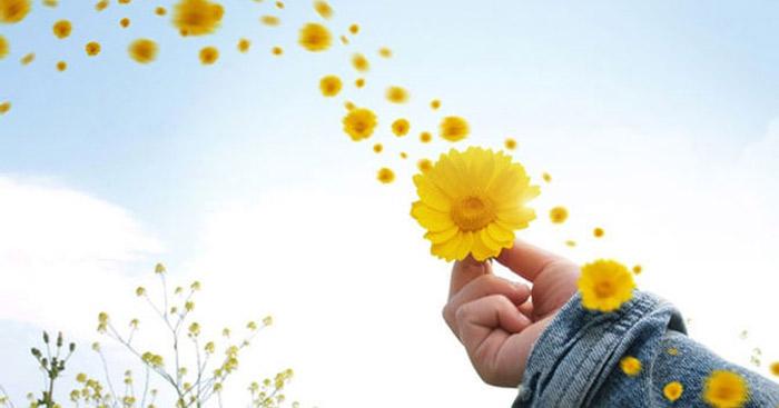 Lạc quan trong cuộc sống