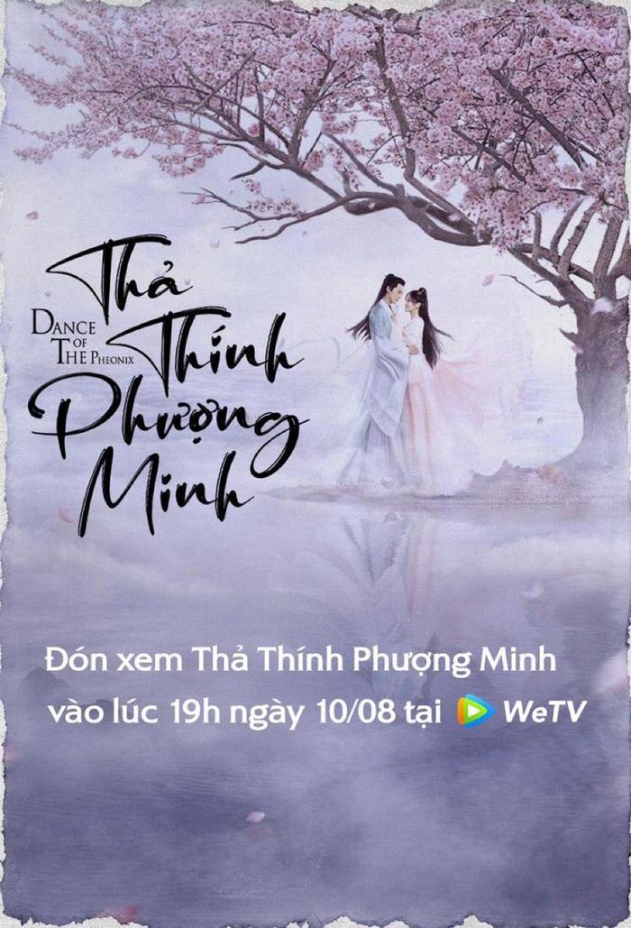 Những lí do khiến