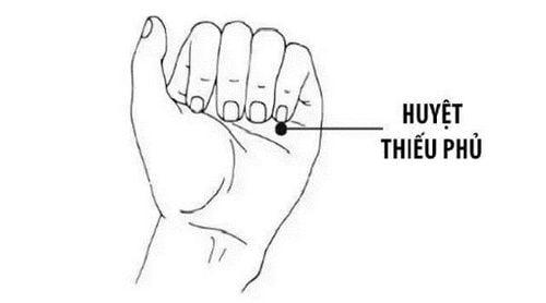 Hình ảnh mô tả vị trí của huyệt thiếu phủ