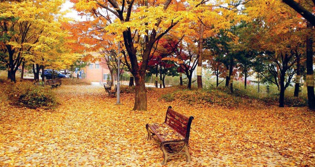 Vì sao, ai nỡ bỏ làm chi! Vì sao Xuân Diệu Bài thơ “Vì sao” Xuân Diệu