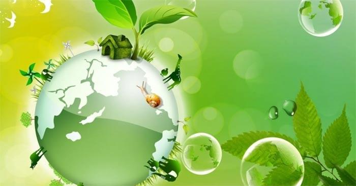 Sống có trách nhiệm