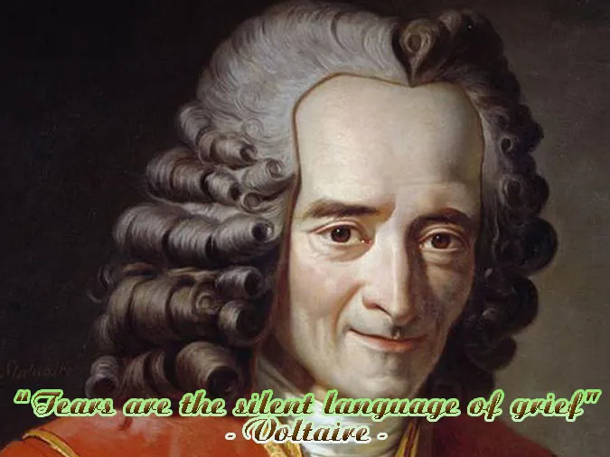 cau-noi-hay-cua-voltaire-voh-0