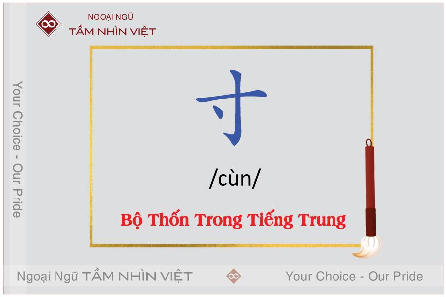 Từ vựng chứa bộ thốn trong tiếng Trung
