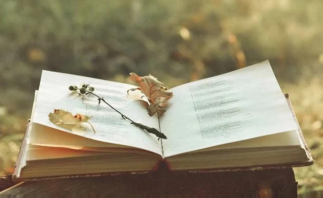 Tìm hiểu tất cả các thể thơ và cách nhận biết dễ nhất