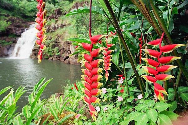 Sơ đồ tư duy cảm nhận bài thơ Việt Bắc