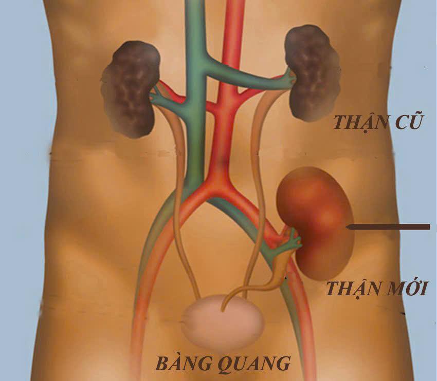 Tin tức cùng chuyên mục