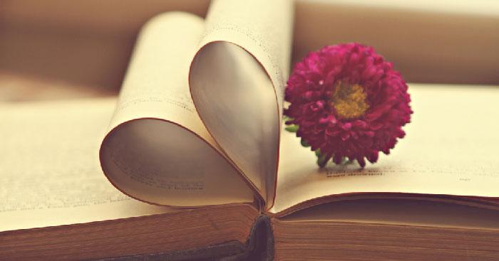 Dàn ý nghị luận, phân tích về tác phẩm truyện