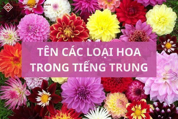 ten cac loai hoa trong tieng trung