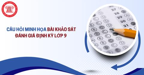 bai-khao-sat-danh-gia-dinh-ky-lop-9.png