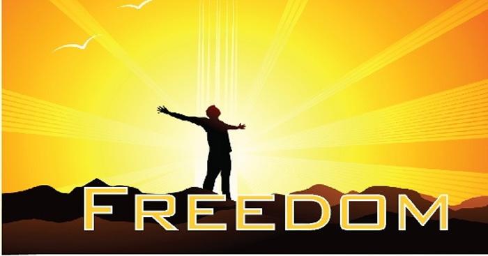 Đoạn văn nghị luận bàn về tự do (Dàn ý + 13 Mẫu) Viết đoạn văn nghị luận xã hội lớp 12