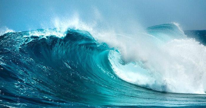 Văn mẫu lớp 11: Phân tích hai khổ thơ đầu bài Sóng của Xuân Quỳnh 3 Dàn ý & 20 bài văn phân tích sóng khổ 1, 2