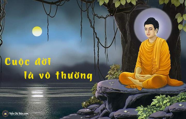 sinh-lao-benh-tu-cuoc-doi-la-vo-thuong