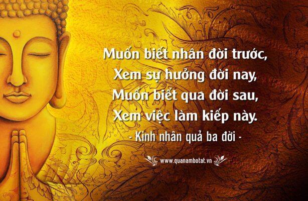 60418359 2339220993021311 6768835301348474880 o