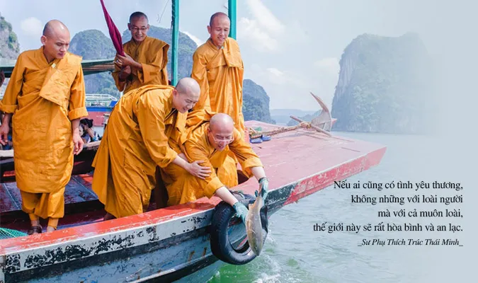 52 câu nói của Phật, bài thơ, stt về phóng sanh hay nhất 1