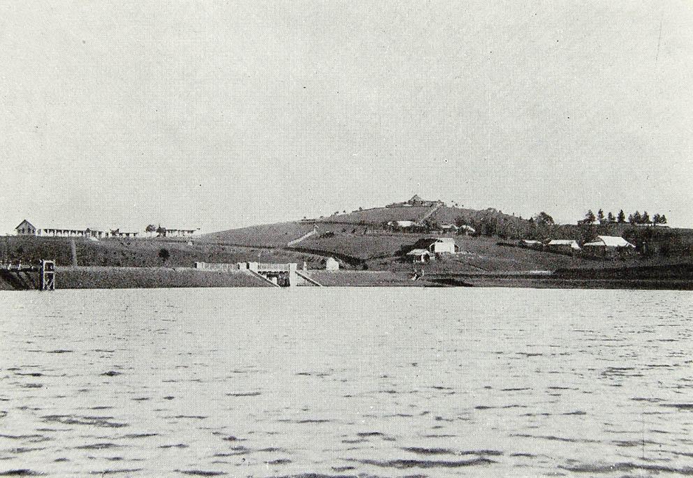 Mực Tím Sơn Đen