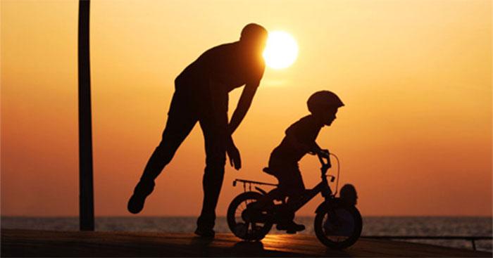 Tình cảm gia đình