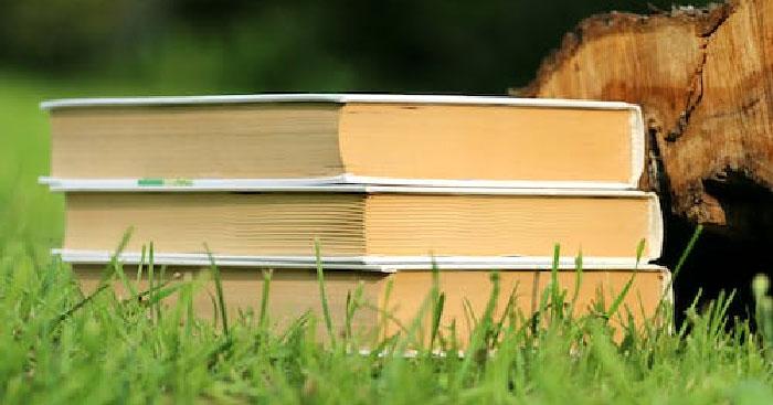 Viết đoạn văn ghi lại cảm nghĩ về một bài thơ tự do