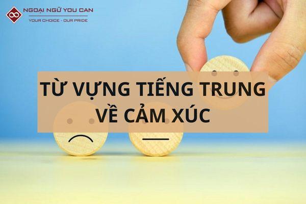 Từ vựng tiếng Trung về cảm xúc