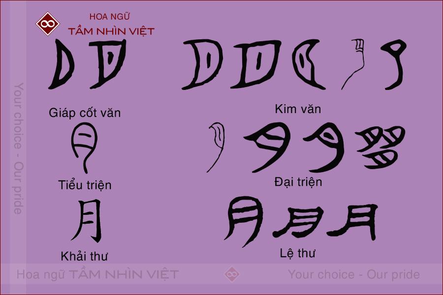 Các từ ghép có bộ Nguyệt tiếng Hán