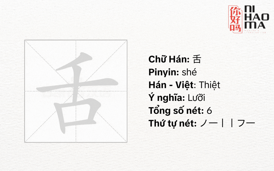 Bộ Thiệt Trong Tiếng Trung: Ý Nghĩa, Cách Viết Và Từ Vựng