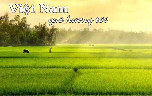 MỘT SỐ BÀI THƠ VỀ CHỦ ĐỀ QUÊ HƯƠNG - ĐẤT NƯỚC - BÁC HỒ