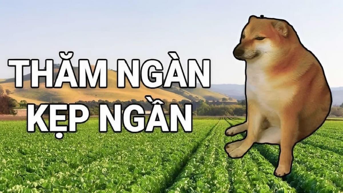 Thăm ngàn là gì trên Facebook?