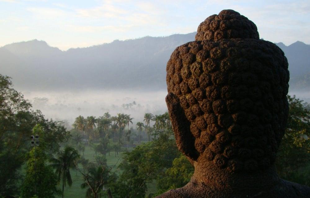Ngu si sinh tử 1