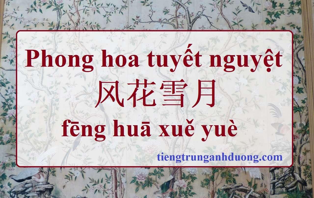 phong hoa tuyết nguyệt