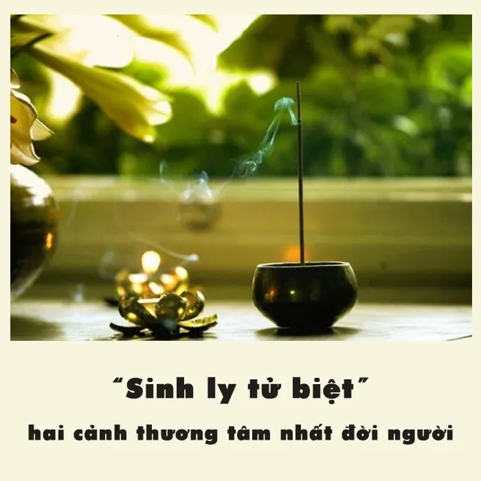 Sinh ly tử biệt là gì? Top bài thơ, câu nói hay về sinh ly tử biệt 1