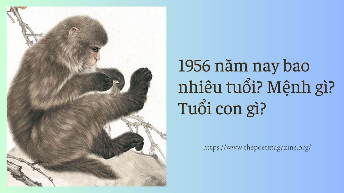 Sinh năm 1956 tuổi con gì