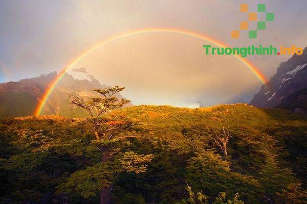  Stt về cầu vồng, thơ về cầu vồng hay, câu nói hay về cầu vồng