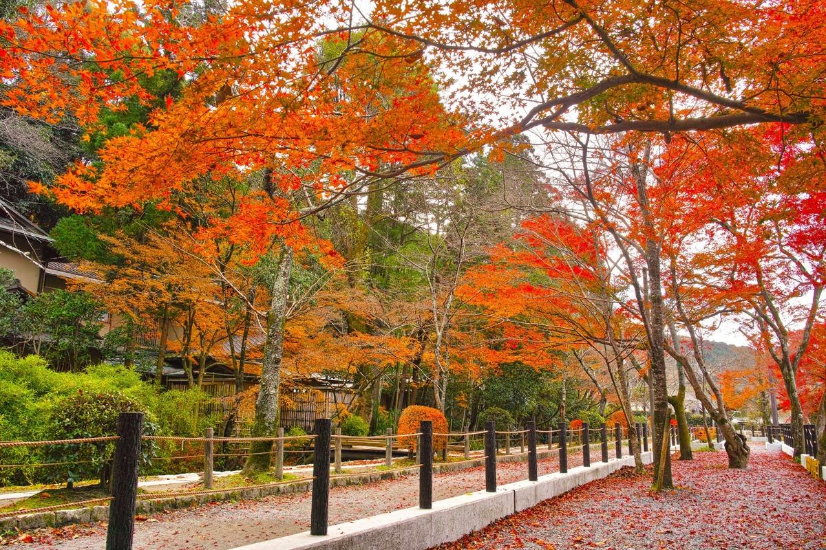 Đường triết gia ở Kyoto - Hướng dẫn tản bộ từ Ginkakuji đến Nanzenji