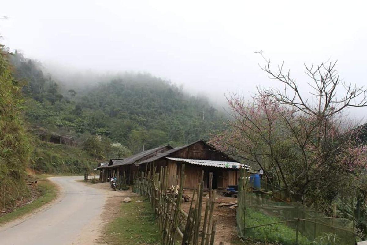 Quay lưng một bóng đào phai