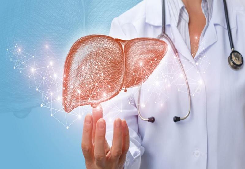 Xét nghiệm gan để kiểm tra hoạt động của gan