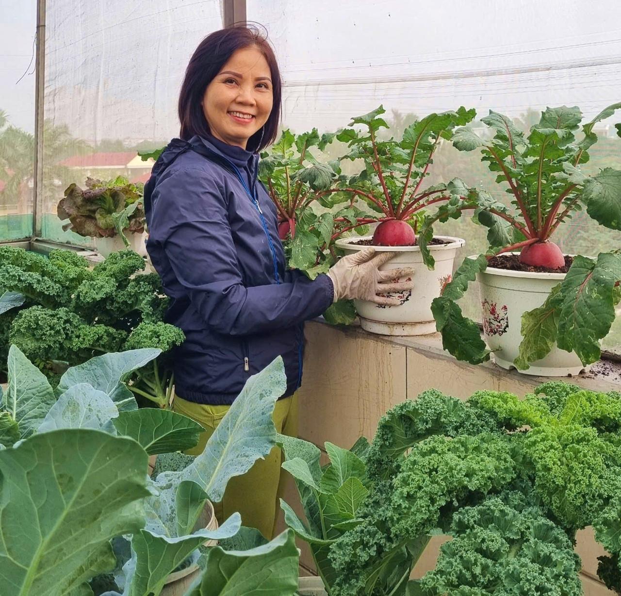 Chị em rủ nhau trồng củ 'thần tài' dáng tròn trĩnh, đỏ như son mong đón tài lộc