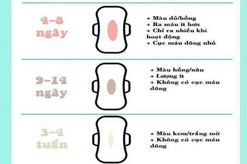 Sản dịch sau sinh sẽ kết thúc tùy thuộc vào cơ địa của từng người