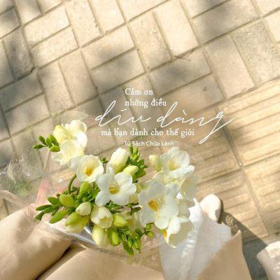 99+ Caption Thơ Mùa Hạ Nhuộm Nắng & Thơ Mùa Hè Cực Chill