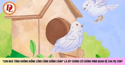 "Con nhà tông không giống lông cũng giống cánh" là gì? Chứng cứ chứng minh quan hệ cha mẹ con?